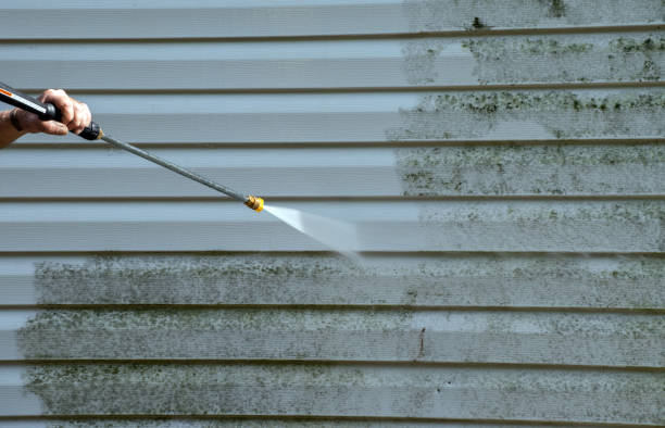 Best Pressure Washing Driveway  in Odon, IN