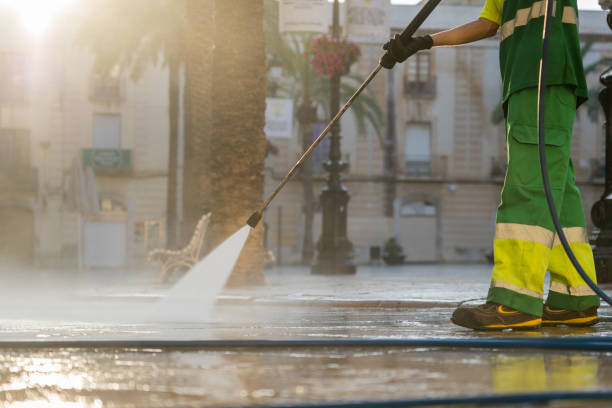 Best Roof Power Washing Services  in Odon, IN